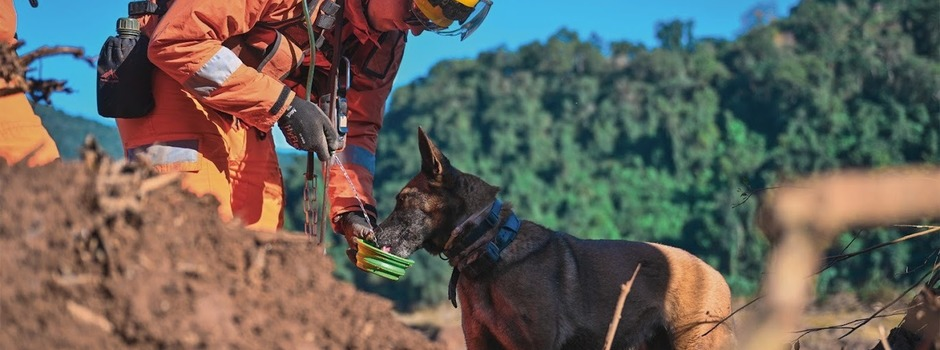 Corpo de Bombeiros Militar de Minas Gerais abre 342 vagas em concurso público com salários que podem chegar a R$ 11 mil