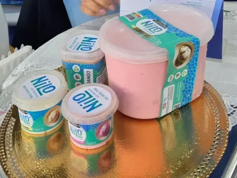 “Sorvete com frango” e ecossistemas de inovação do Paraná estão na final do Prêmio Nacional de Inovação