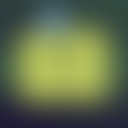 Faltam 7 dias: confira como consultar o local de votação