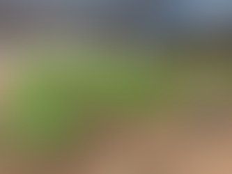 Agricultores produzem hortaliças com sistema de hidroponia