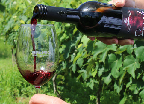 Vinhos de colheita de inverno de Minas Gerais são destaque no Decanter World Wine Awards 2026