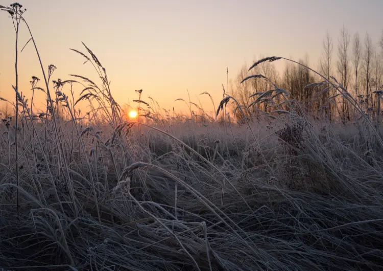 Brasil registra novo recorde de frio em 2026 pelo segundo dia consecutivo