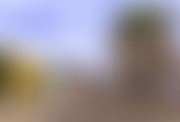 Cidade do Alagoas tem igrejas do século XVII