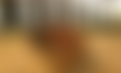 Café da Serra de Baturité conquista IG e reforça tradição sustentável no Ceará