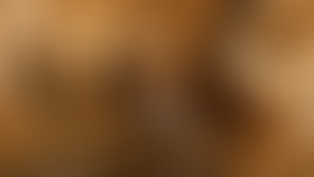 Parque Nacional da Furna Feia, no Rio Grande do Norte, abre as portas para visitantes