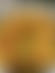 Dia Mundial do Cuscuz destaca tradição nordestina e fortalece a agricultura familiar