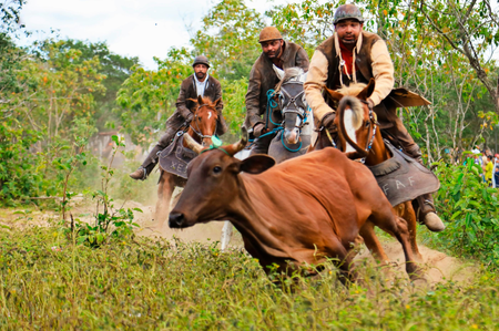 Museu Palácio Floriano Peixoto recebe exposição fotográfica sobre a tradição sertaneja da Pega de Boi no Mato
