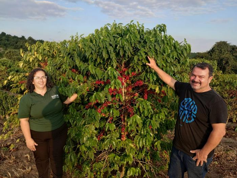 Mineiro troca carreira no ramo de negócios imobiliários pelo cultivo de café