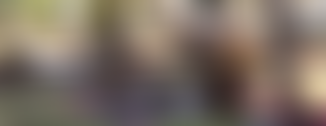 Andradas é a Capital Mineira do Vinho