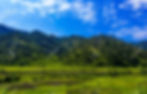 kausani tour package global path holiday