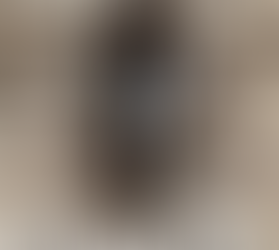 The Rage of Dragons (Partial Review)