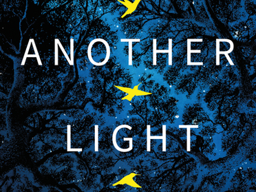 In Another Light