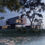 Thumbnail: Modern beach villa Revit Lumion