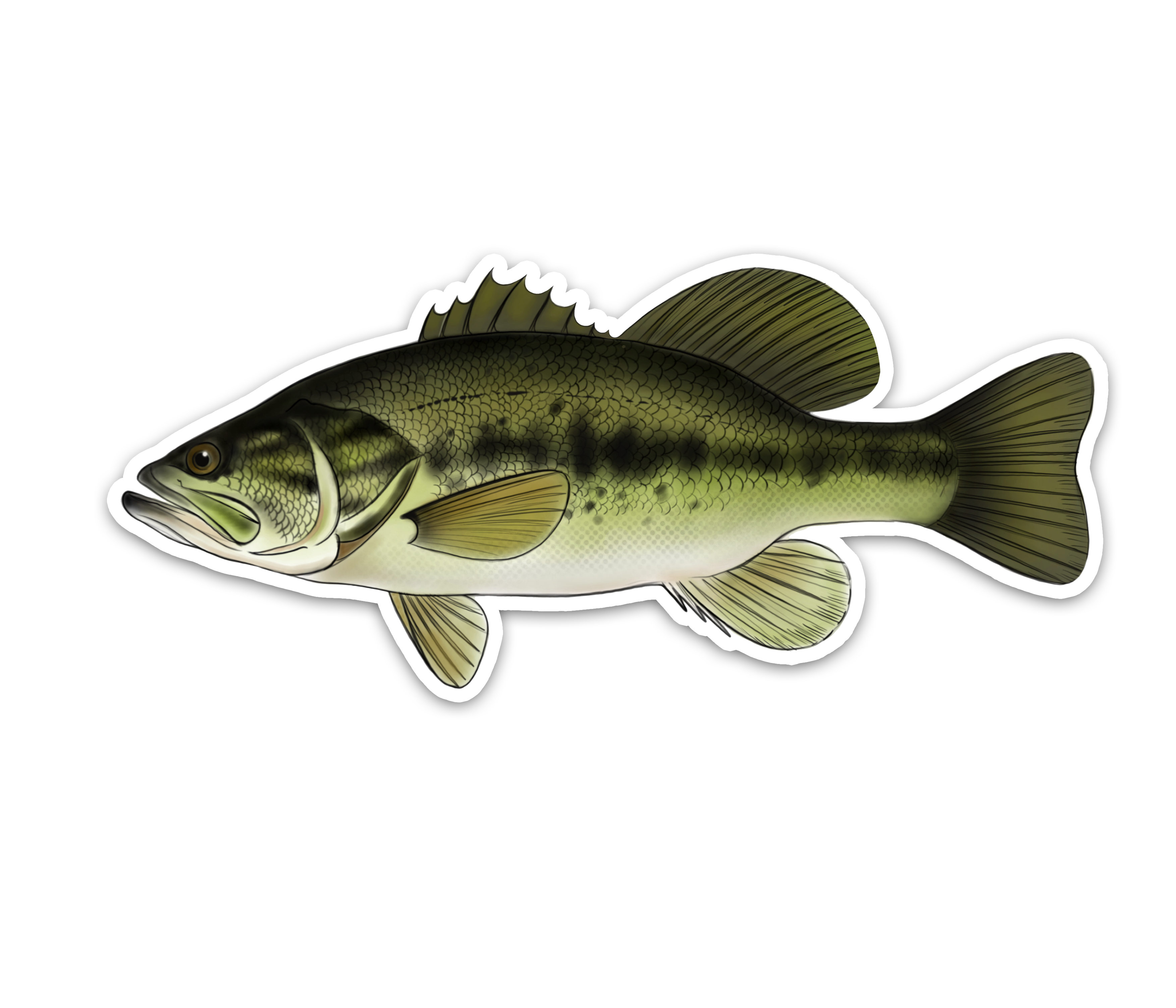 Largemouth Bass - Waterproof Sticker