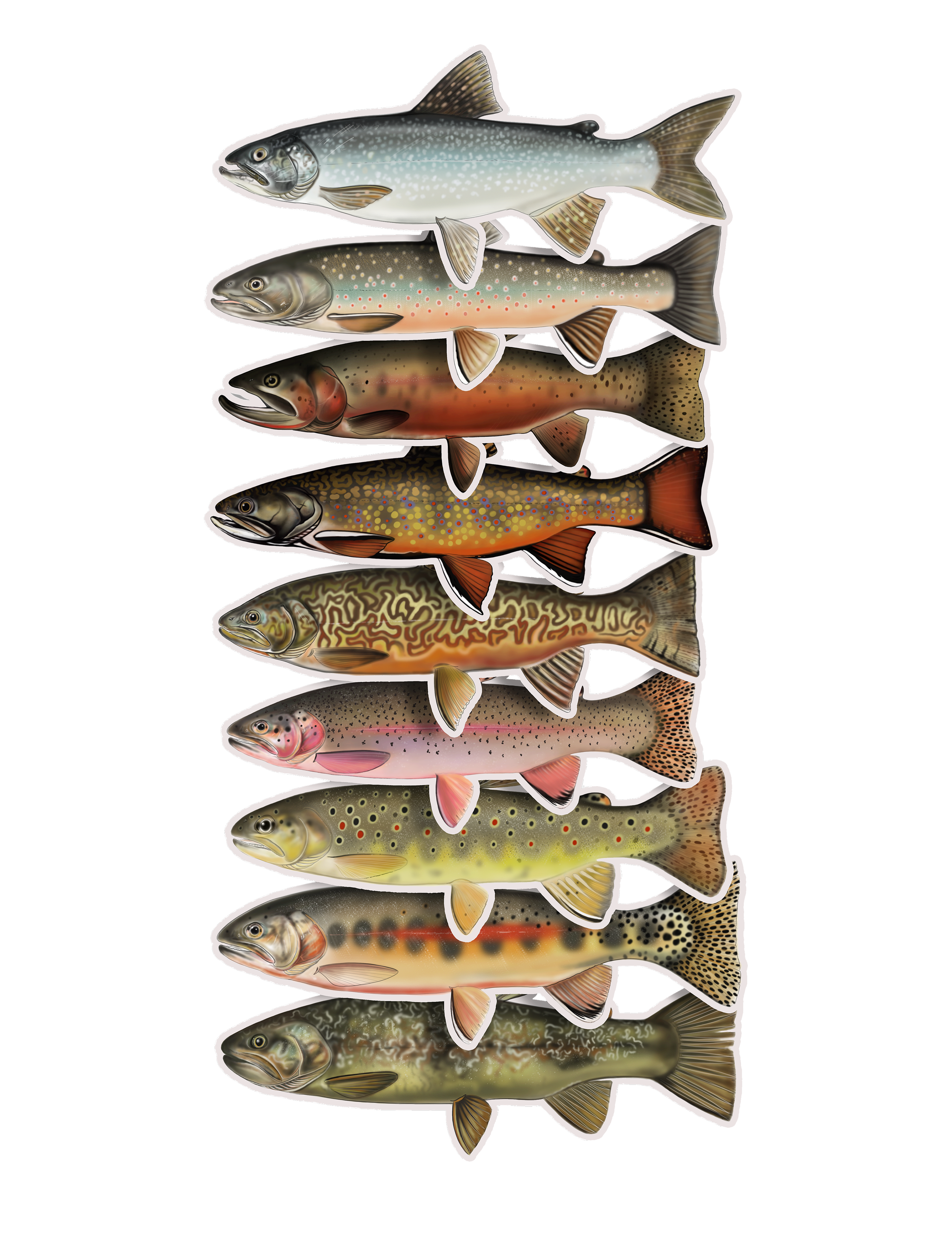 Trout Waterproof Sticker - Set 15% OFF