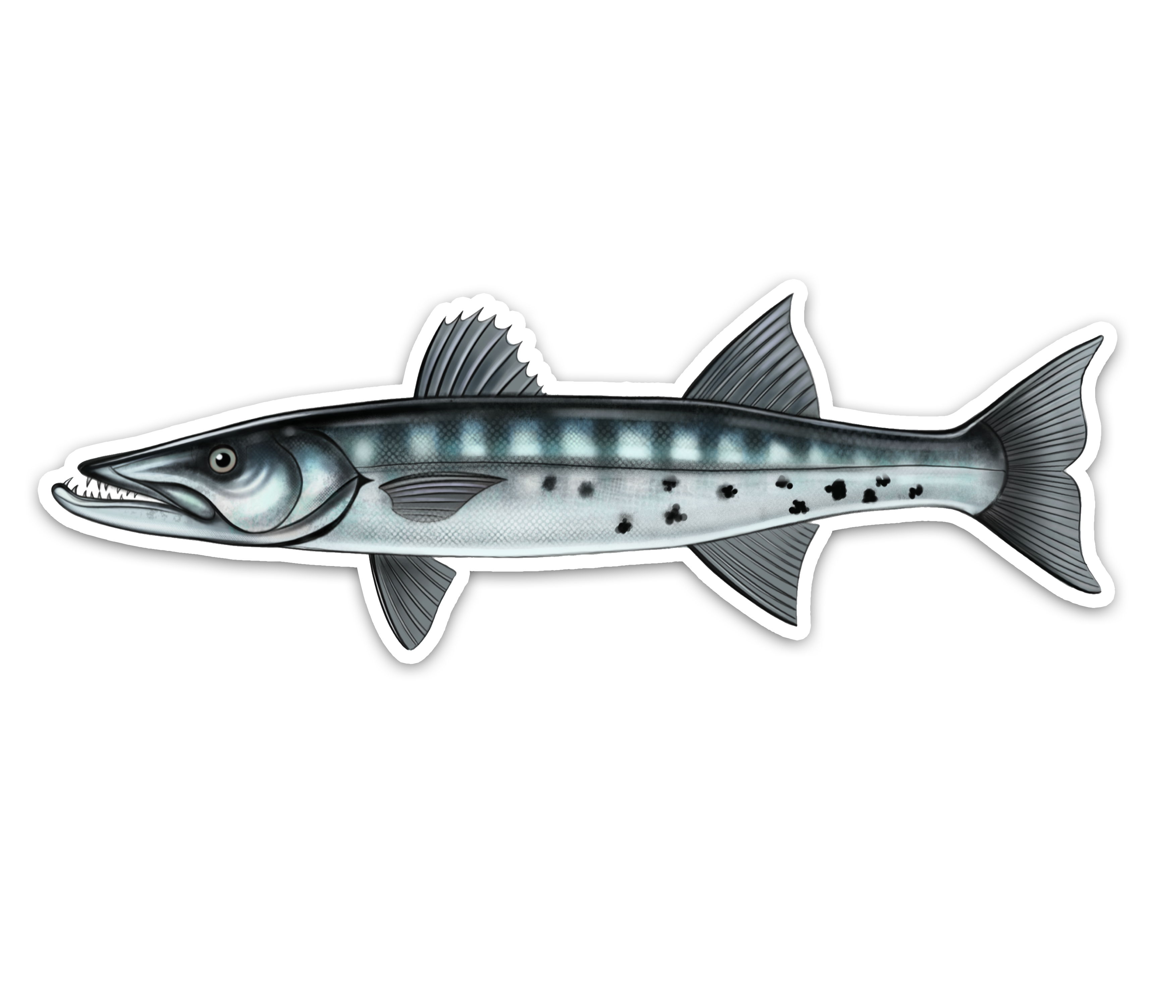 Great Barracuda- Waterproof Sticker