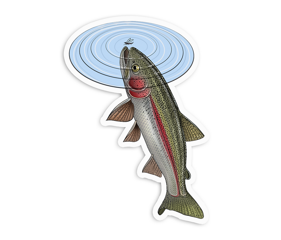 Thumbnail: Surface Feeding Rainbow - Waterproof Sticker
