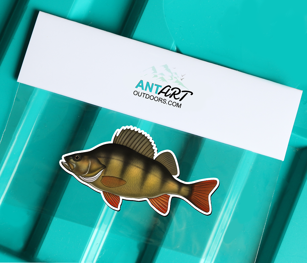 Thumbnail: Perch - Magnet