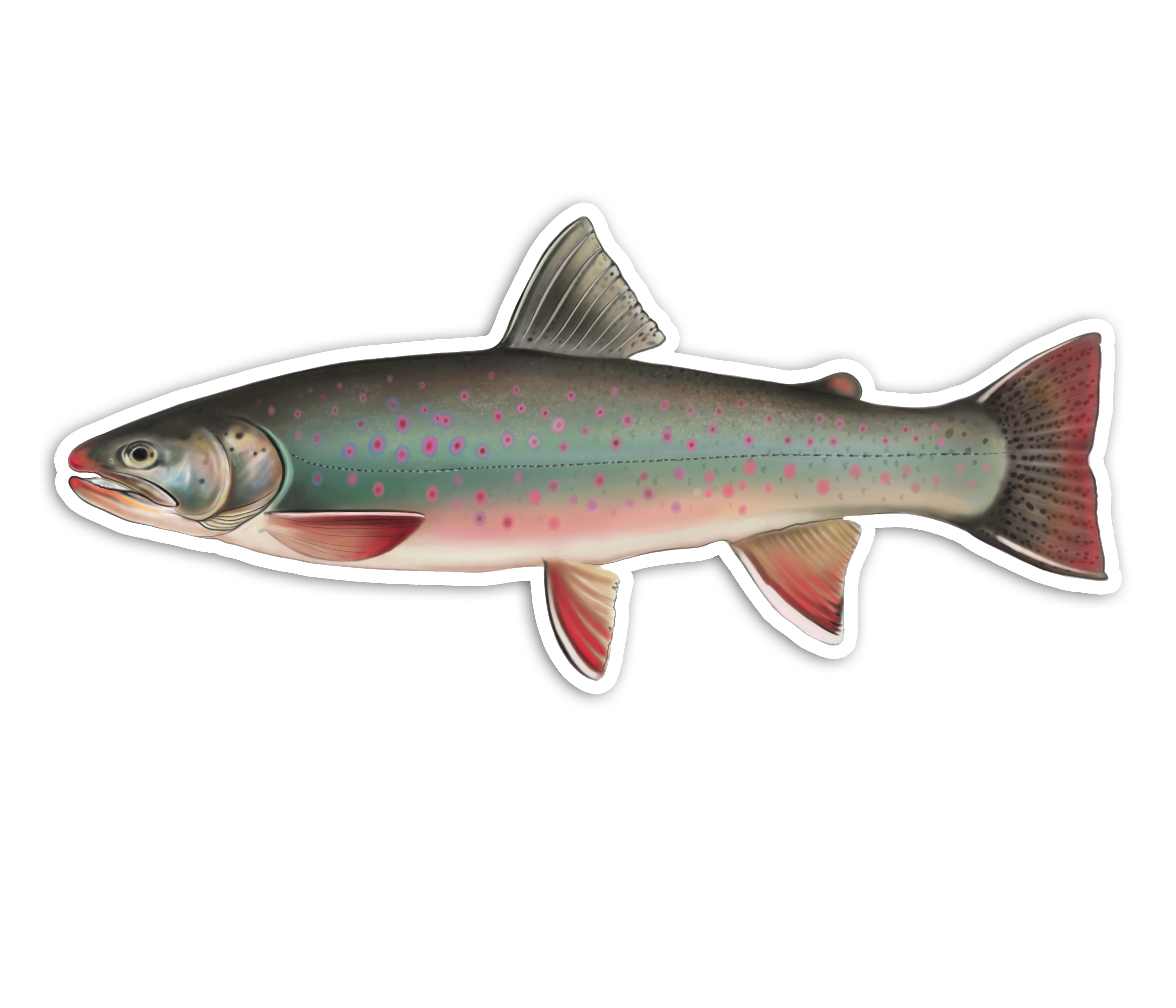 Dolly Varden (Female) - Waterproof Sticker