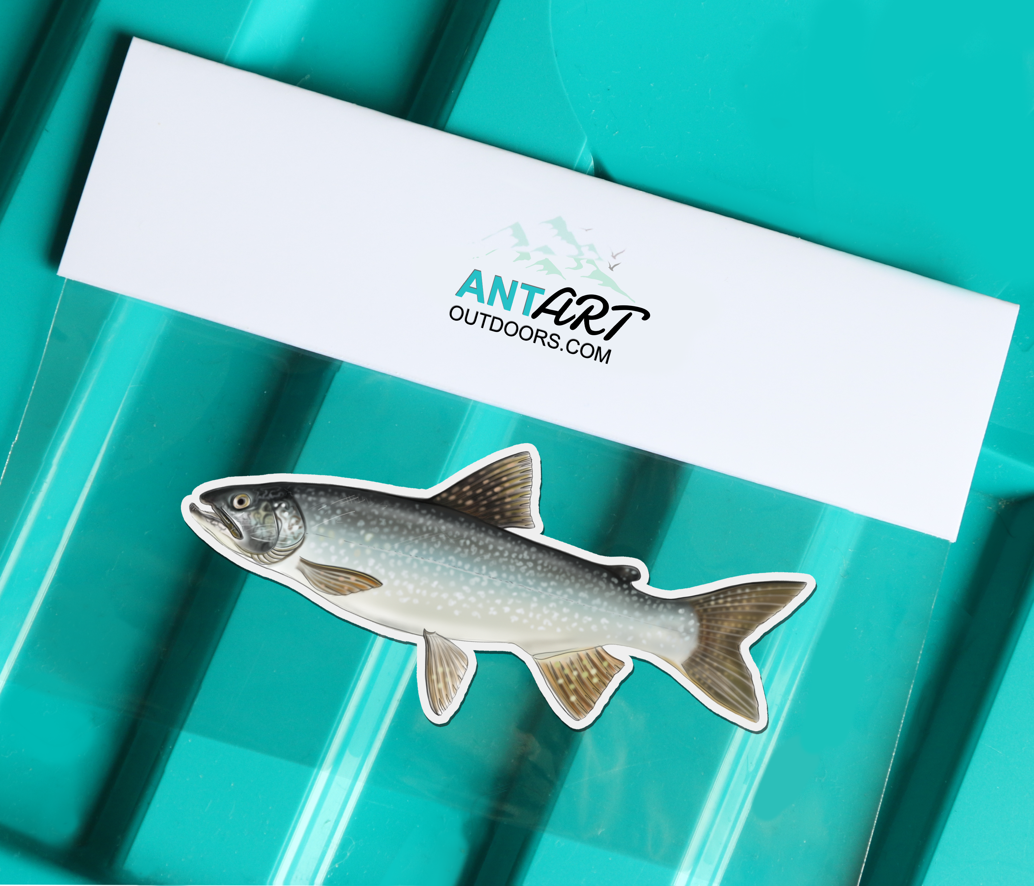 Lake Trout - Magnet