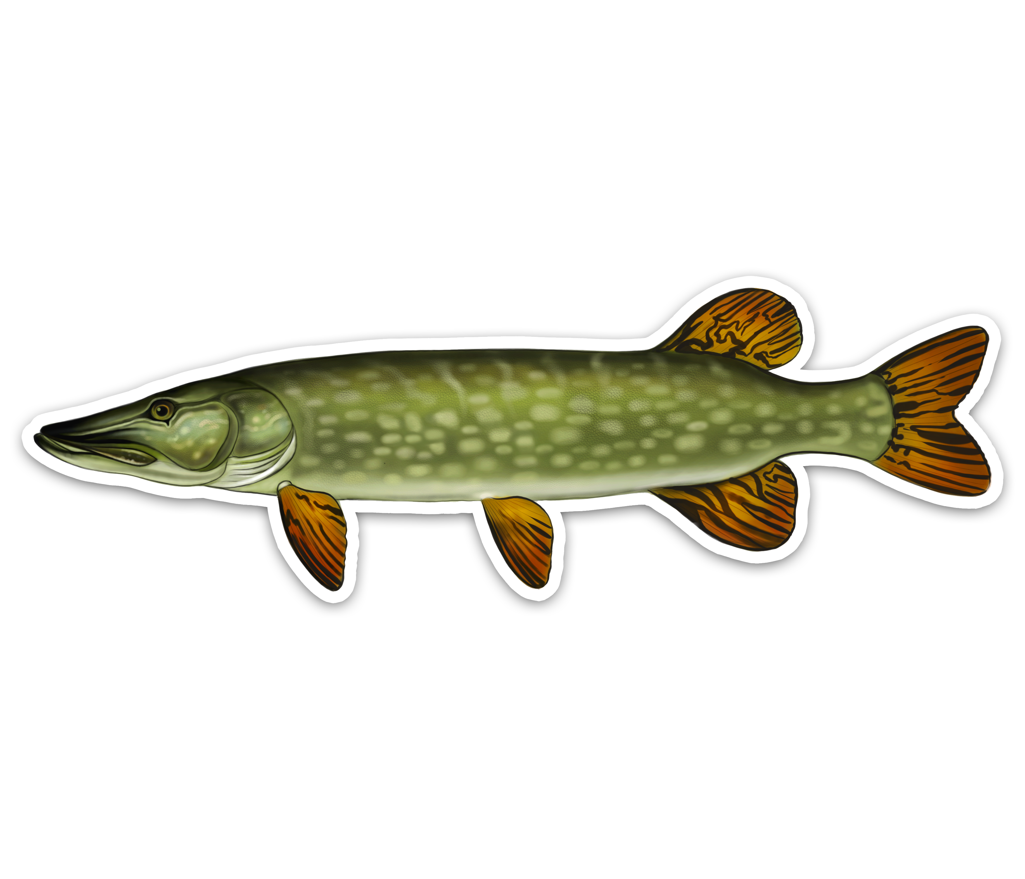 Northern Pike - Waterproof Sticker