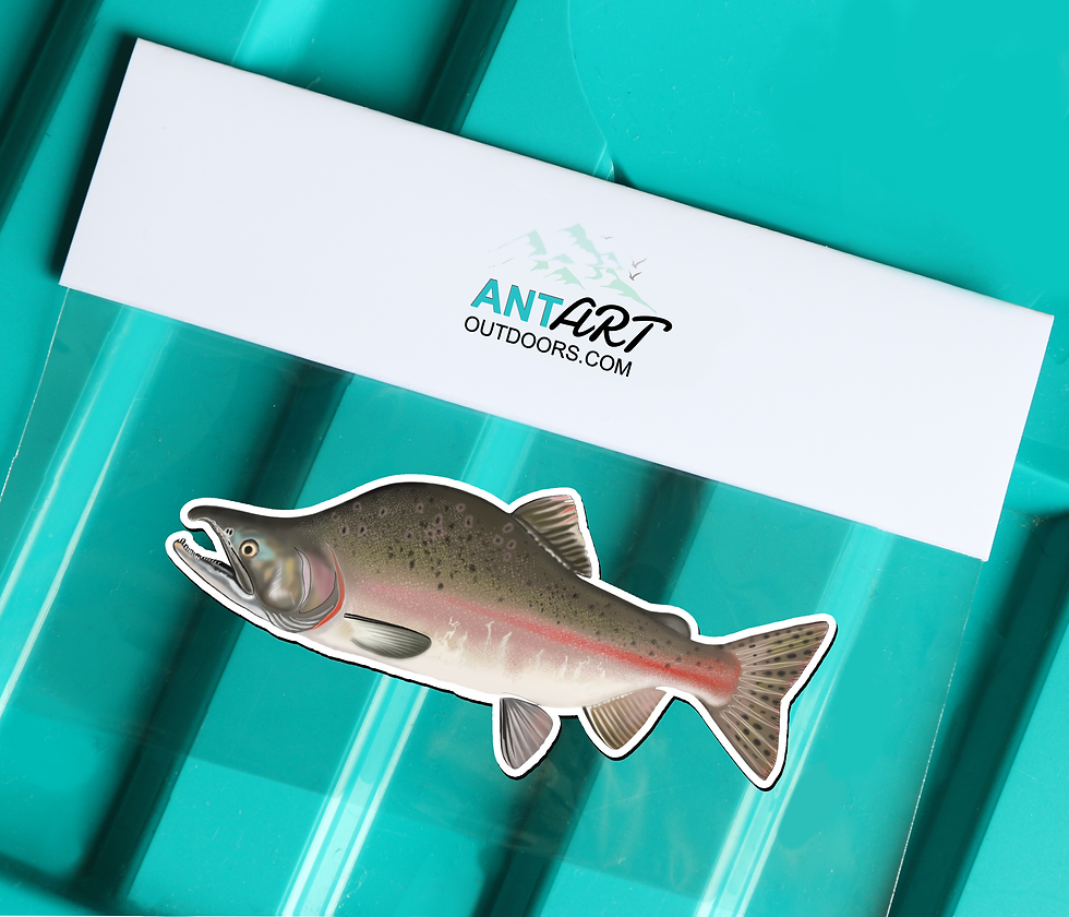 Thumbnail: Pink Salmon - Magnet