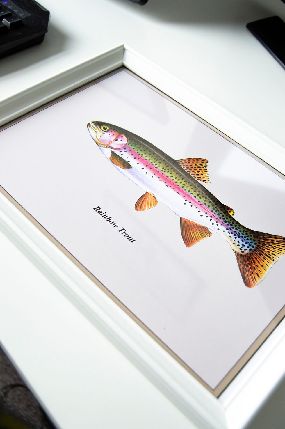 Thumbnail: Trout Collection + Set Print