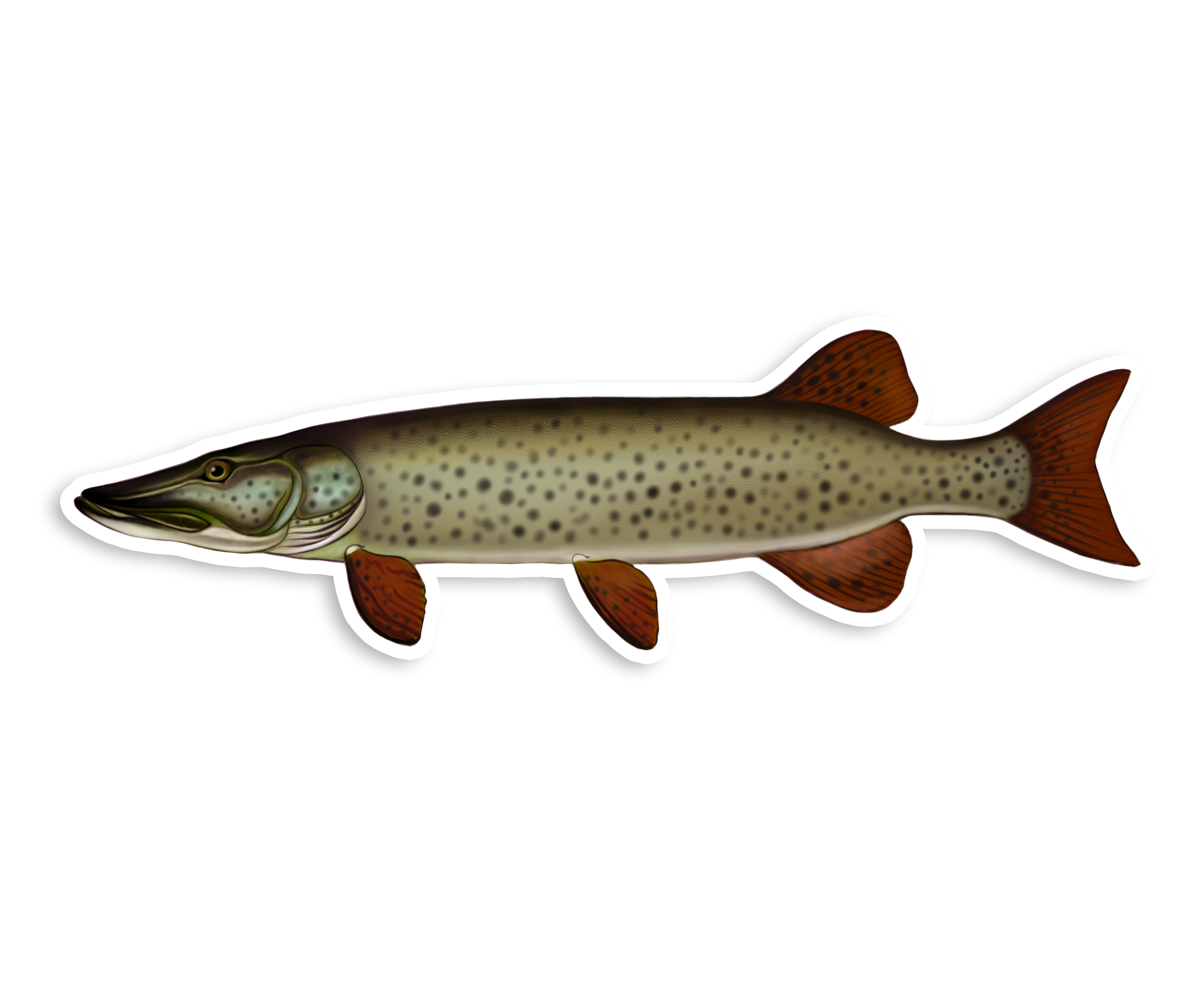 Spotted Muskie - Waterproof Sticker