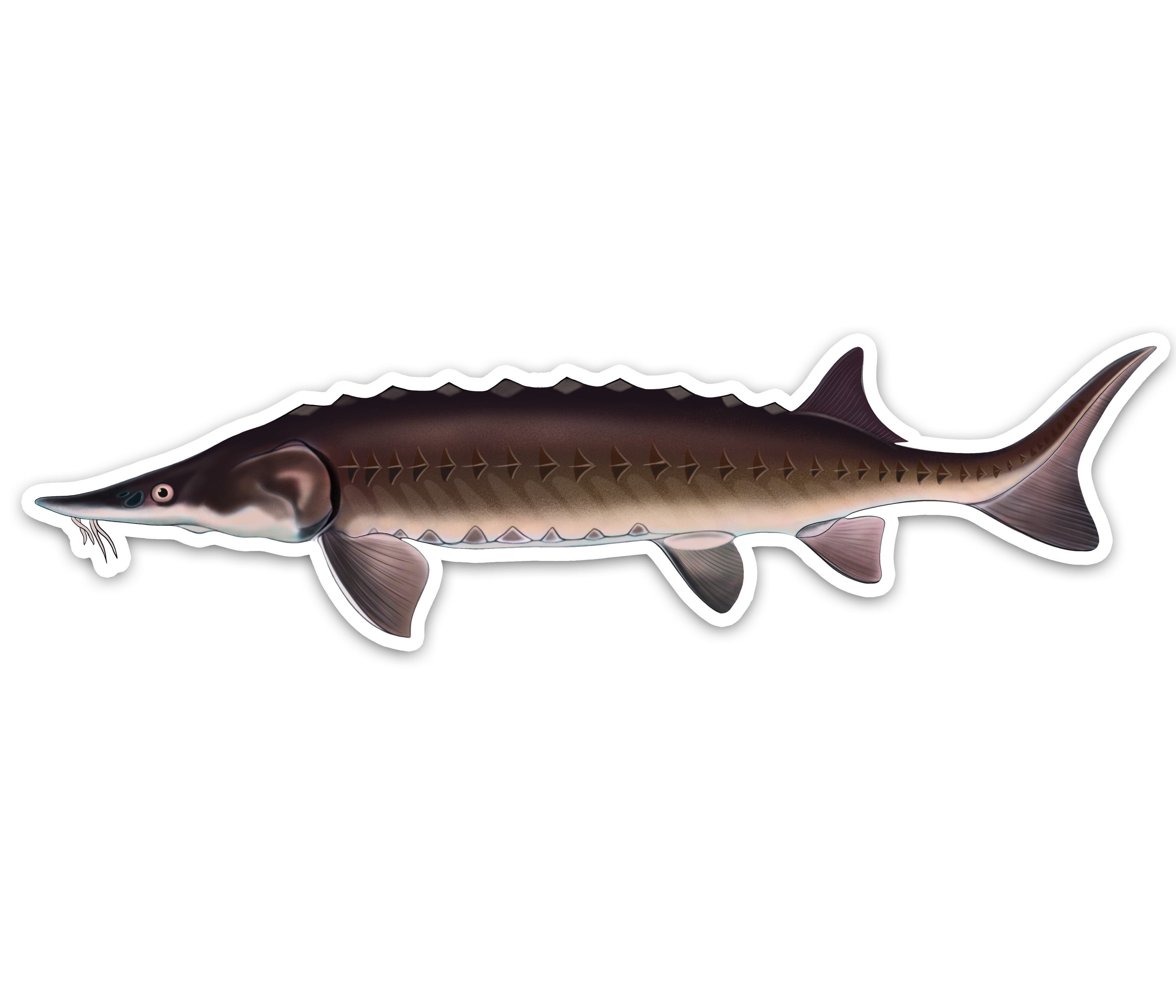 Lake Sturgeon - Waterproof Sticker