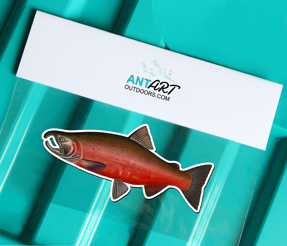 Thumbnail: Coho Salmon - Magnet