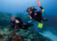 Cursos de Mergulho Scubadive Mergulho - FRANCA - RIFAINA - SP