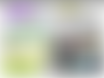 5月ライオンズニュース