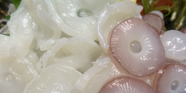 活タコ刺身