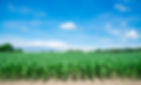 AdobeStock_211497032.jpeg
