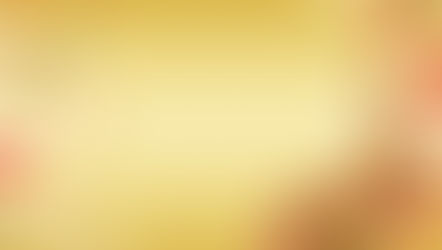 手風琴ガレージセールのお礼