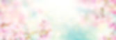 AdobeStock_317487134.jpeg