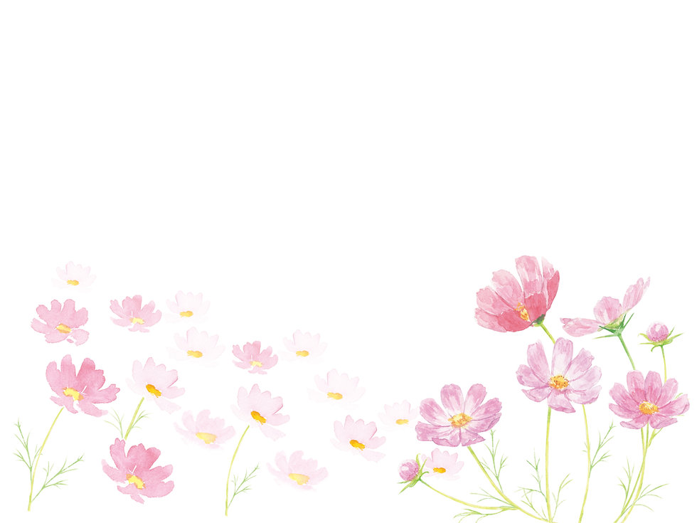 AdobeStock_216604498.jpeg