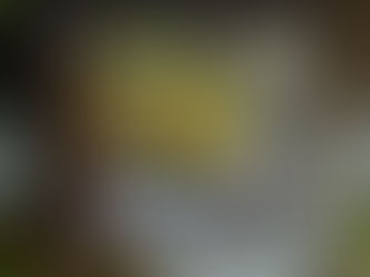 New CD 「Hali'a」 2015.1.28