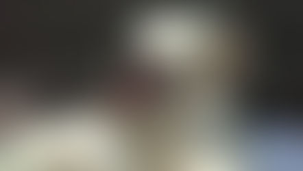 Embracing Memories: Our Paw-Some Journey with Bailey 🐾