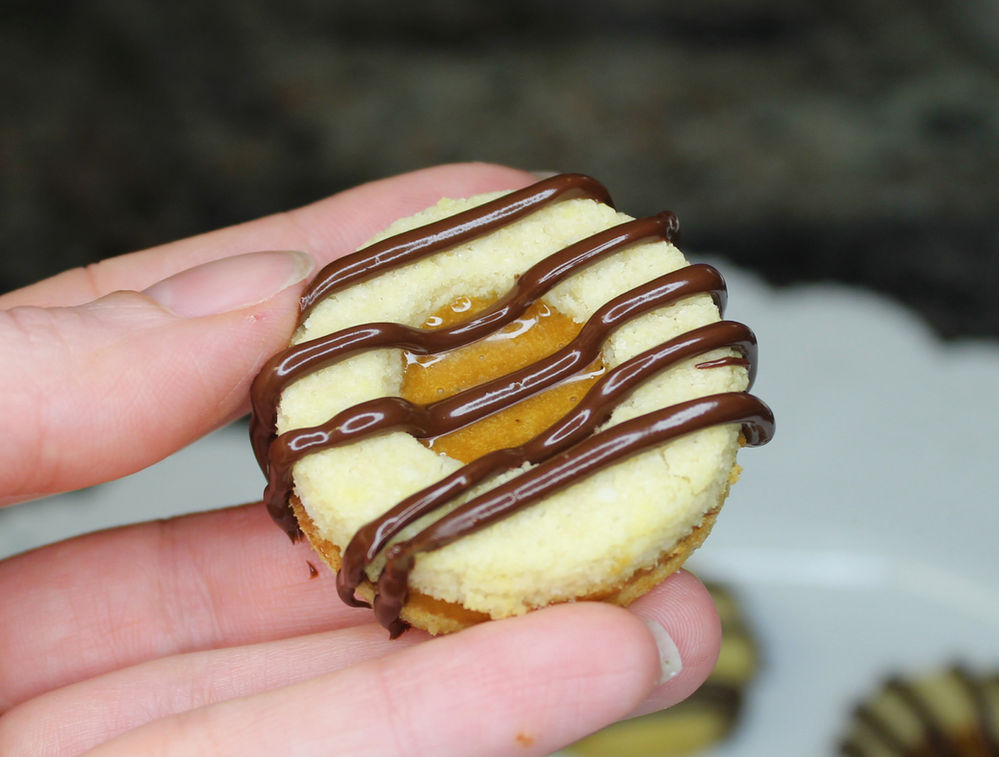 LowCarb Chocolate Drizzled Coconut Caramel Sandwich Cookies