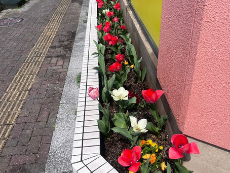 大牟田個別指導教室前の花壇の状況