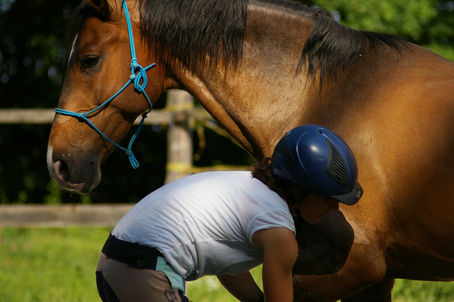 8 životnih lekcija koje sam naučila od "teških konja"