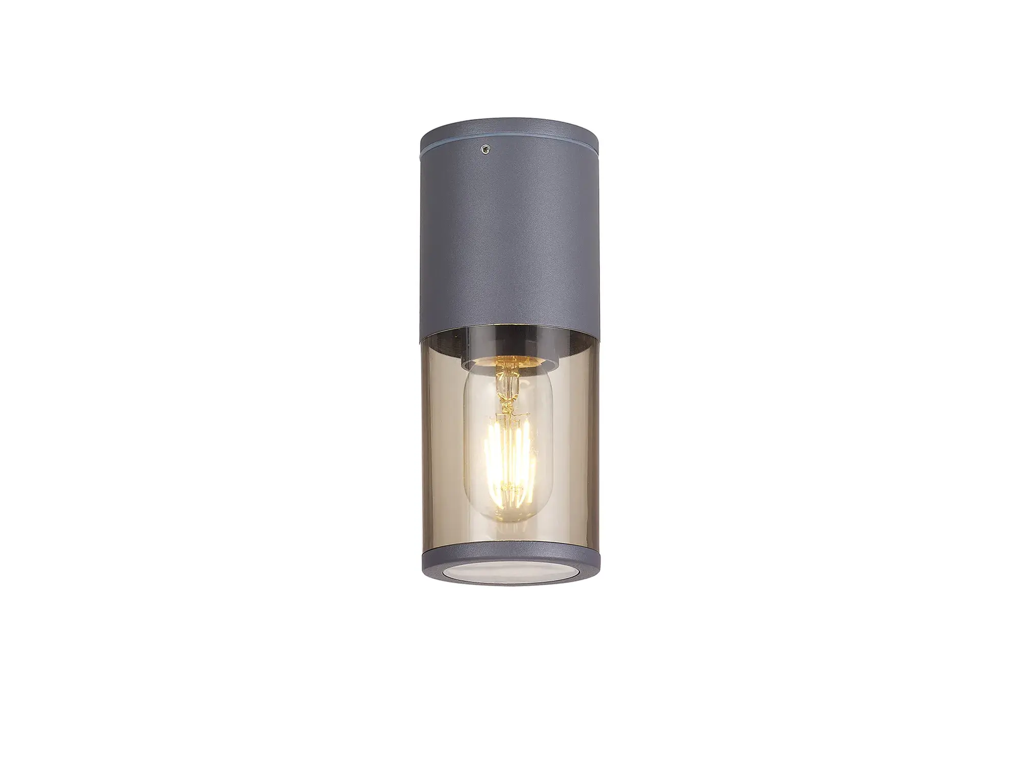 Mason 1 Light Anthracite Semi-Flush/Post Outdoor Light