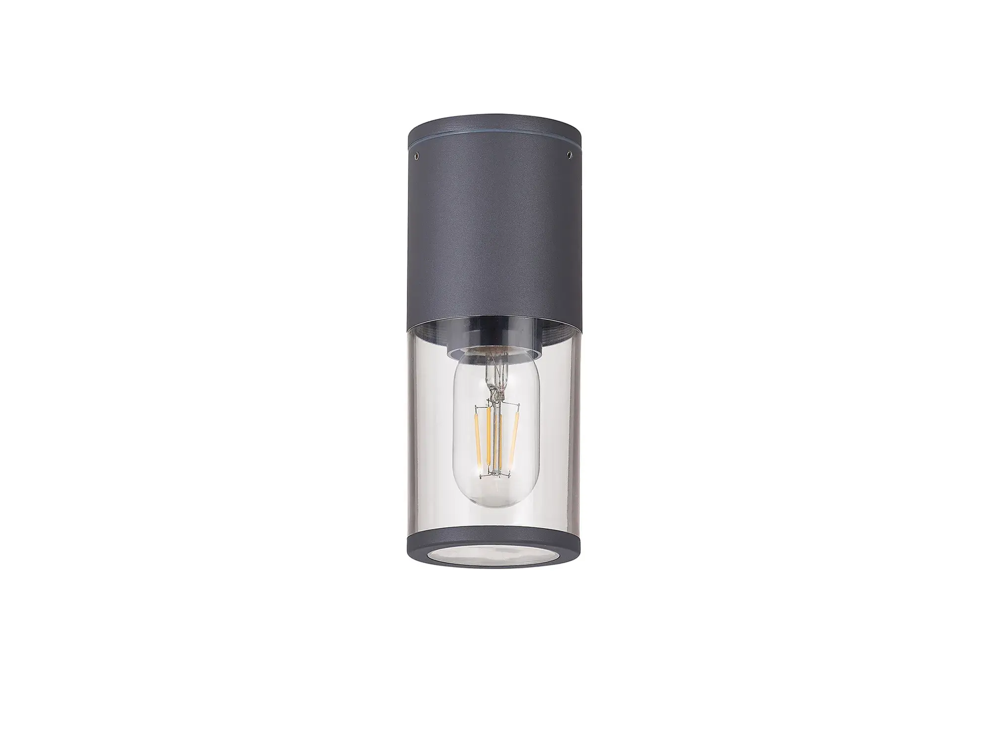 Mason 1 Light Anthracite Semi-Flush/Outdoor Post Light