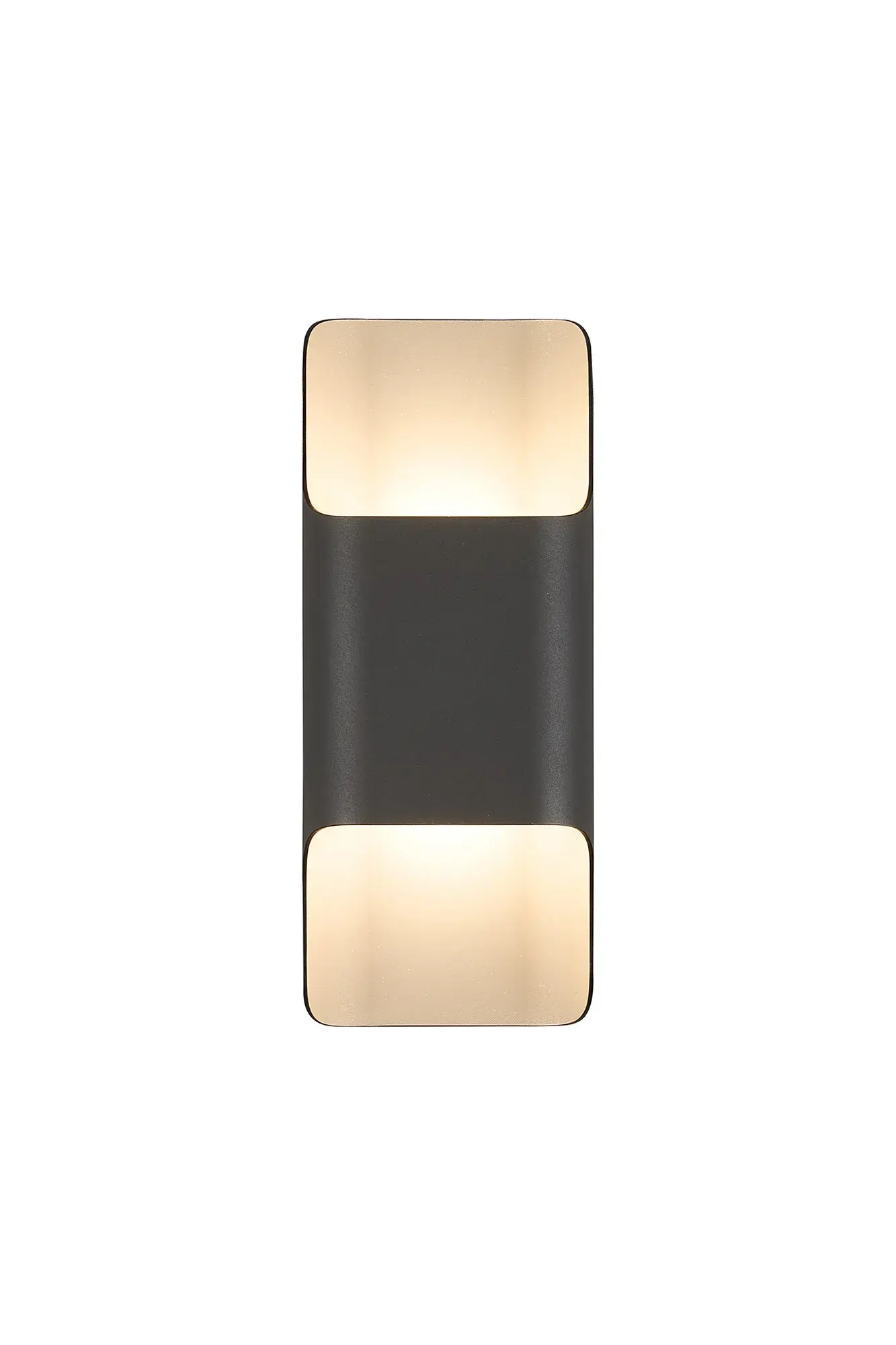 Zander Anthricite LED Outdoor Wall Light