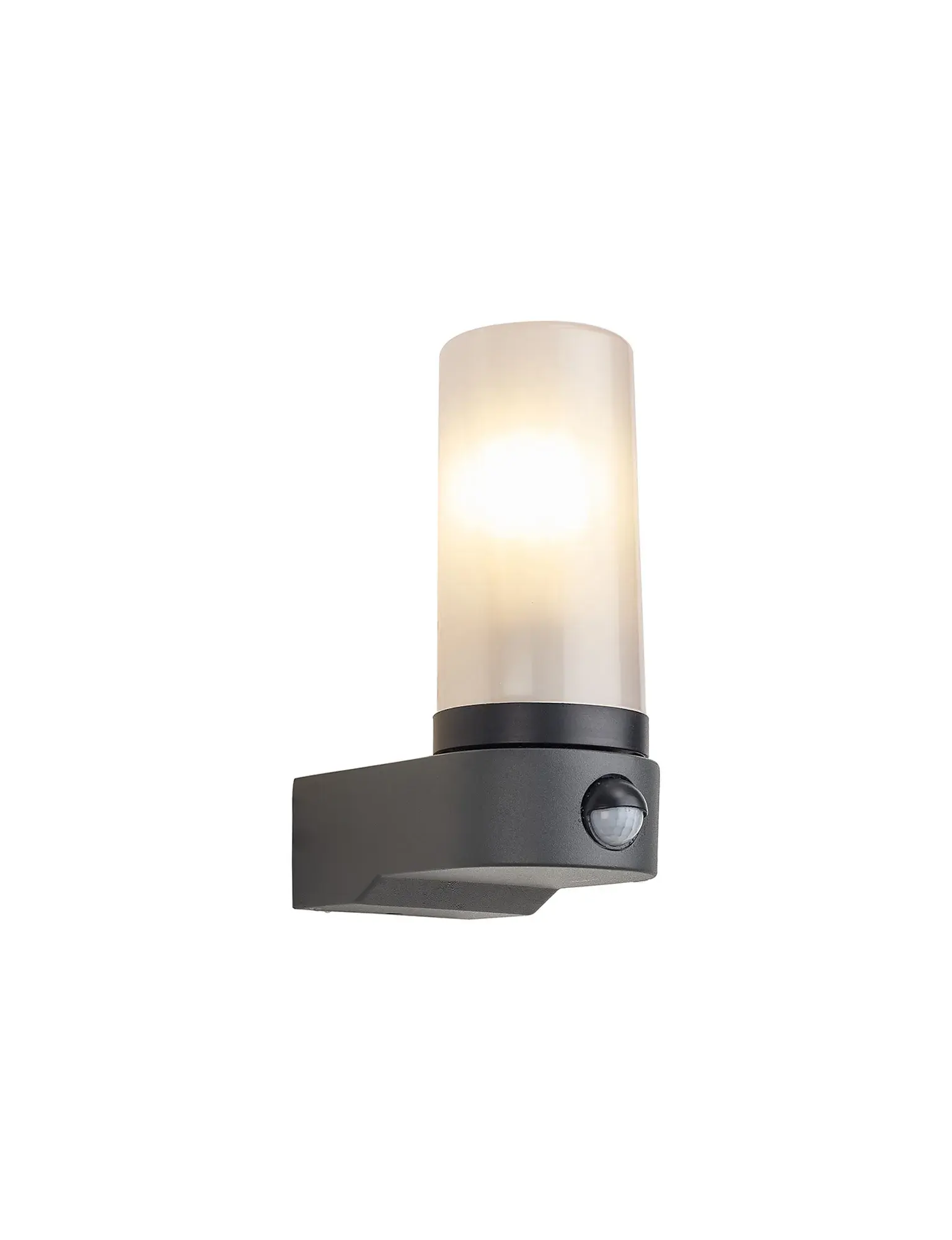 Myles 1 Light Dark Gray Outdoor Wall Light