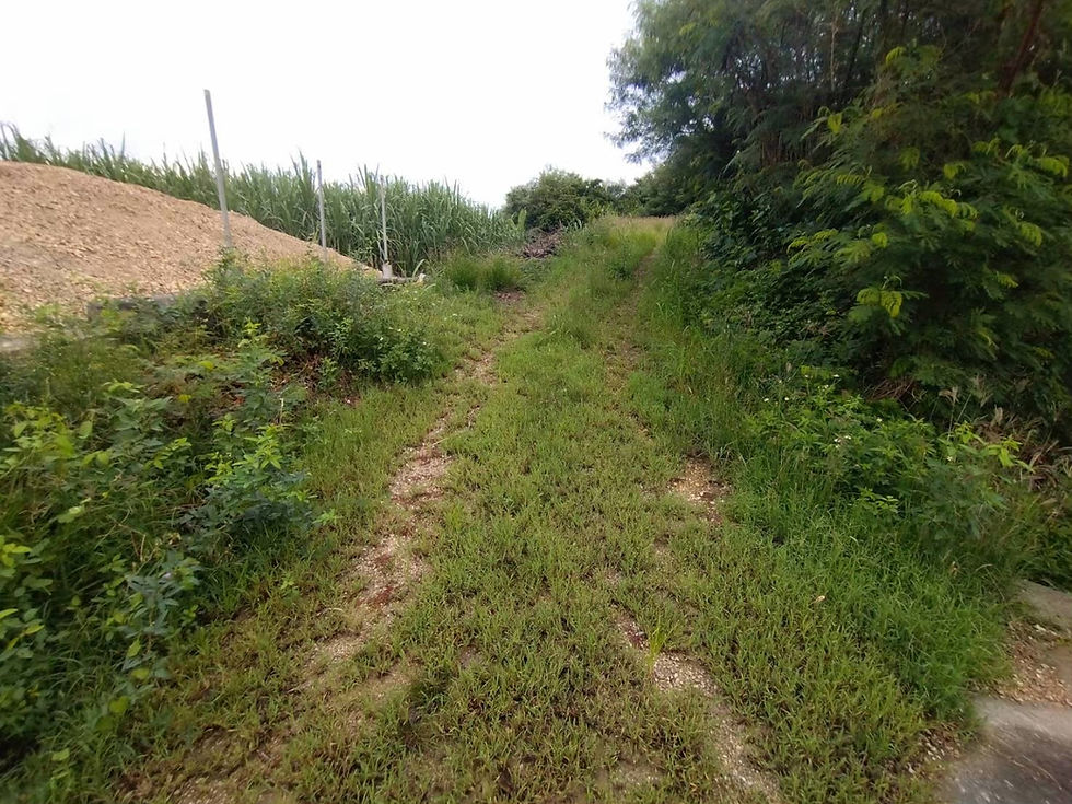 那覇・東風平 Bfoer