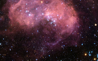 Star Cluster