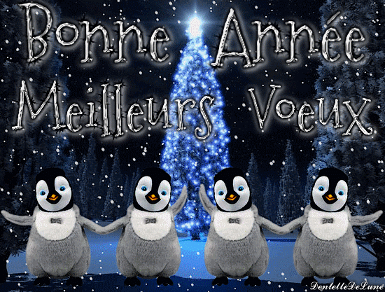 ob_dfe1d9_gif-bonne-annee-meilleurs-voeu