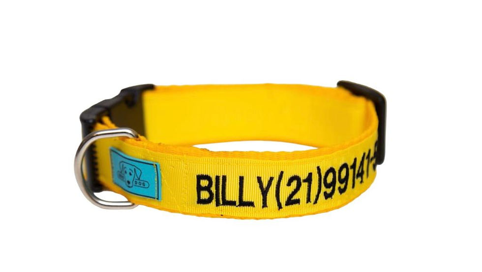 Miniatura: Coleira de Identificação